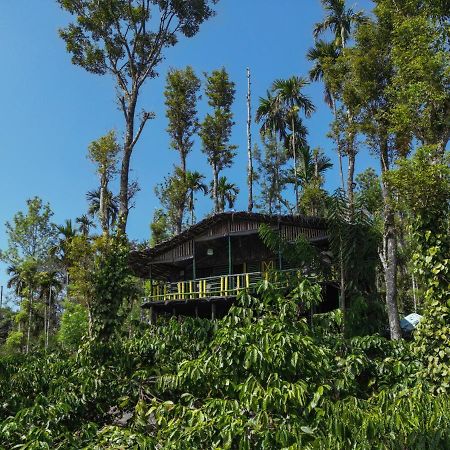 וואיאנאד The Mountain Tree Home מראה חיצוני תמונה