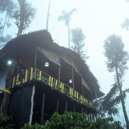 וואיאנאד The Mountain Tree Home מראה חיצוני תמונה