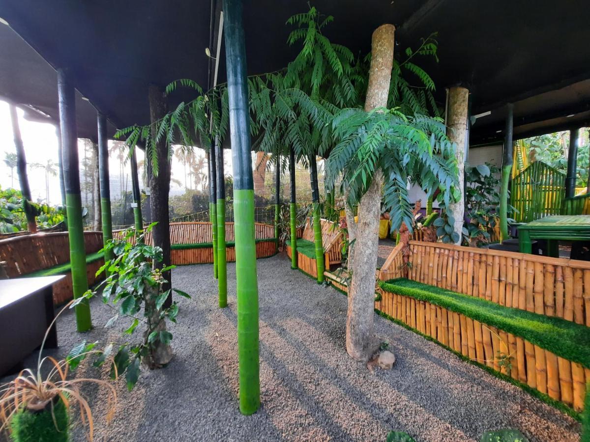 וואיאנאד The Mountain Tree Home מראה חיצוני תמונה