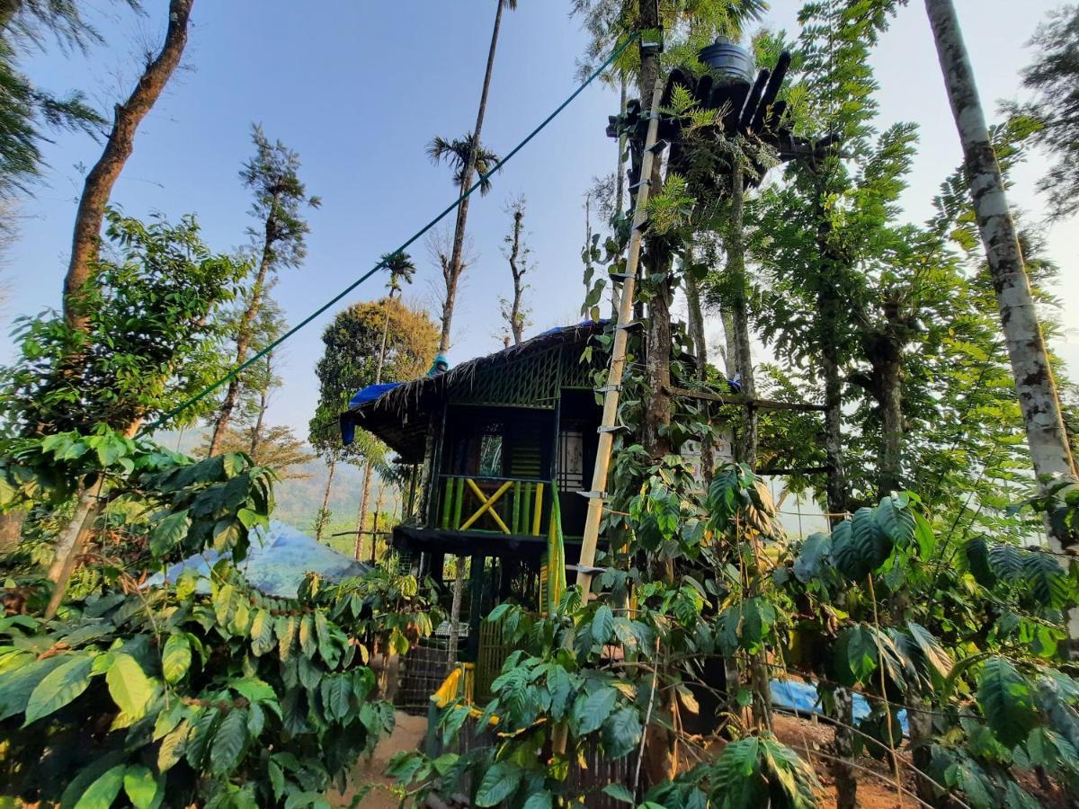 וואיאנאד The Mountain Tree Home מראה חיצוני תמונה