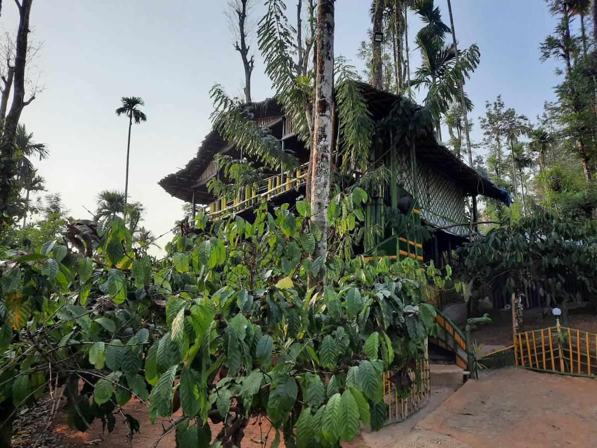 וואיאנאד The Mountain Tree Home מראה חיצוני תמונה