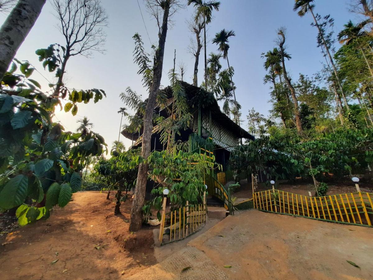 וואיאנאד The Mountain Tree Home מראה חיצוני תמונה