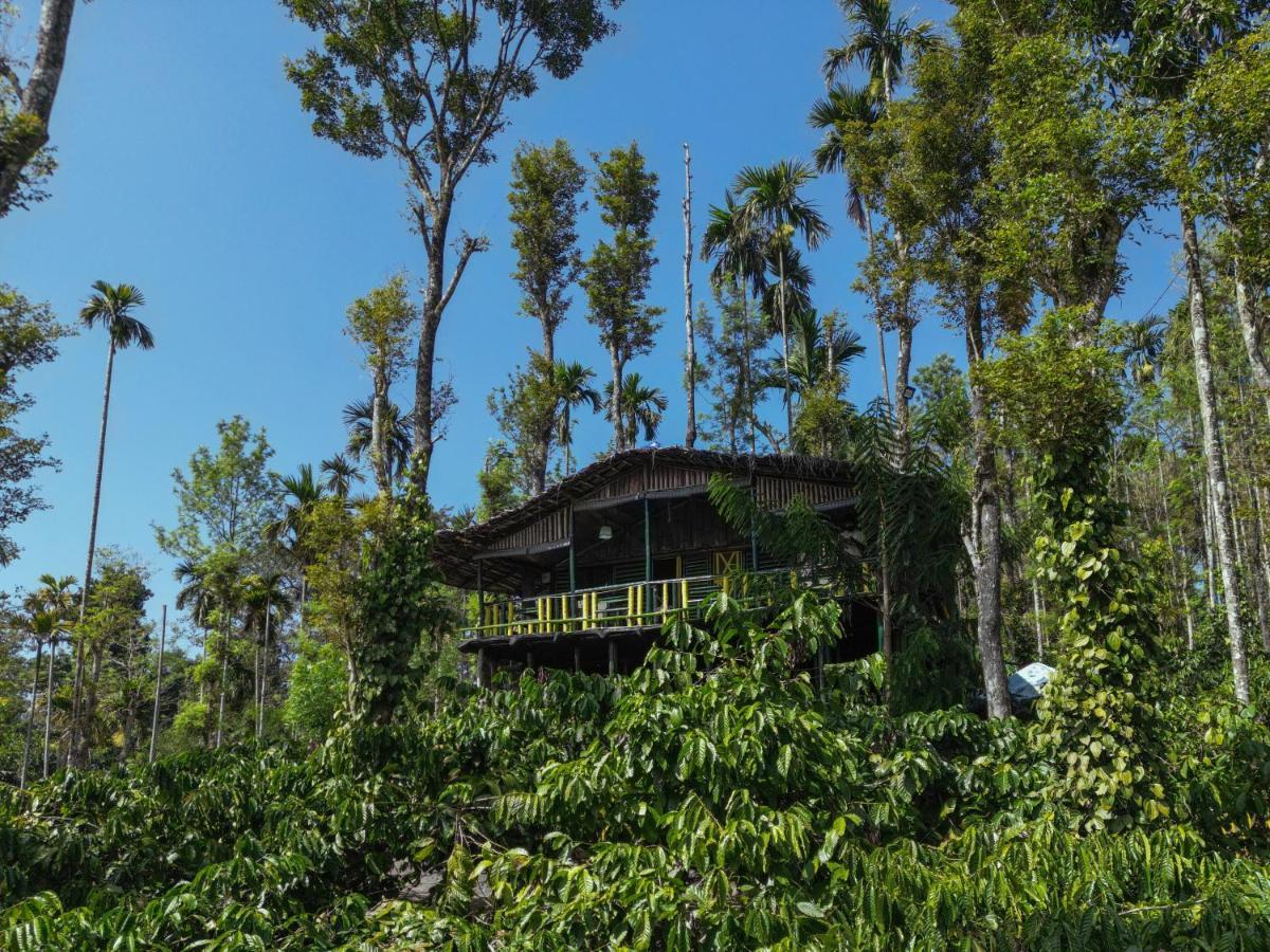 וואיאנאד The Mountain Tree Home מראה חיצוני תמונה