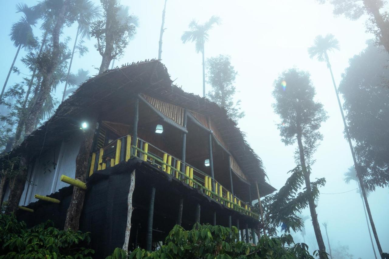 וואיאנאד The Mountain Tree Home מראה חיצוני תמונה