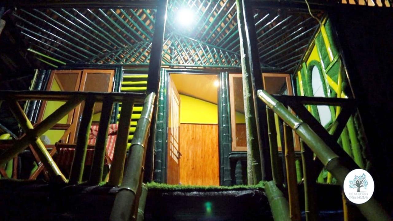 וואיאנאד The Mountain Tree Home מראה חיצוני תמונה